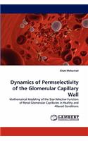 Dynamics of Permselectivity of the Glomerular Capillary Wall