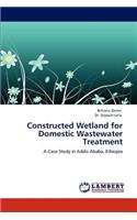 Constructed Wetland for Domestic Wastewater Treatment