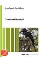 Crowned Hornbill