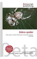 Zebra Spider: (English)