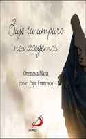 Bajo tu amparo nos acogemos: Oremos a Maria con el Papa Francisco