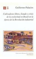 Cultivadores Libres, Estado y Crisis de La Esclavitud En Brasil En La Epoca de La Revolucion Industrial
