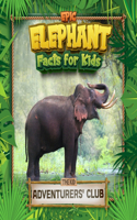 Epic Elephant Facts for Kids: Fascinating Photos & Interesting Info for Young Wildlife Fans