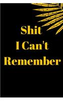 Shit I Can't Remember