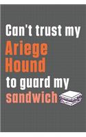 Can't trust my Ariege Hound to guard my sandwich: For Ariege Hound Dog Breed Fans