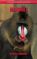 Mandrill: Sagenhafte Fakten und Fotos