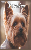 Yorkies 2021 Wall Calendar: Yorkies 2021 8.5 x 8.5 Inch Monthly Square Wall Calendar