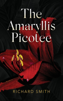 Amaryllis Picotee