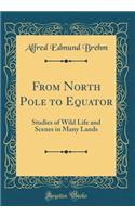 From North Pole to Equator: Studies of Wild Life and Scenes in Many Lands (Classic Reprint): Studies of Wild Life and Scenes in Many Lands (Classic Reprint)