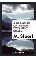 Grammar of the New Testament Dialect