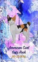 American Curl Cats Rock