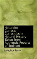 Naturales Curios Curiosities in Natural History Taken from Authentic Reports of Eminent