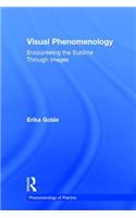 Visual Phenomenology