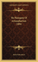 The Plastogamy Of Actinosphaerium (1894)