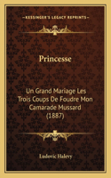 Princesse: Un Grand Mariage Les Trois Coups De Foudre Mon Camarade Mussard (1887)