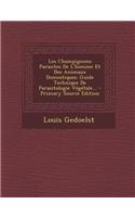 Les Champignons Parasites De L'homme Et Des Animaux Domestiques