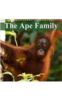 The Ape Family 2018