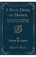 A Blue Devil of France: Epic Figures and Stories of the Great War, 1914-1918 (Classic Reprint)