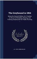 The Greyhound in 1864