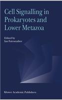 Cell Signalling in Prokaryotes and Lower Metazoa