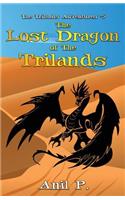 Lost Dragon of The Trilands