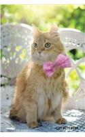 Cat Notebook: 6x 9 Lined Notebook Cat Composition Notebook Journal and Diary100 Pages (Volume 20)