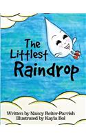 Littlest Raindrop
