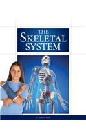 The Skeletal System: (Human Body)