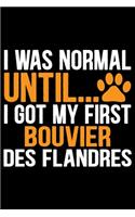 I Was Normal Until I Got My First Bouvier Des Flandres: Cool Bouvier Des Flandres Dog Journal Notebook Bouvier Des Flandres Puppy Funny Bouvier Des Flandres Dogs Notebook Bouvier Des Flandres Owner Gifts