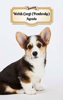 2020 Welsh Corgi (Pembroke) Agenda