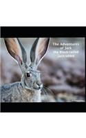 The Adventures of Jack the Black-tailed Jackrabbit