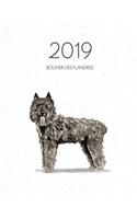 2019 Bouvier Des Flandres: (Awesome Calendar Planners for Dog Owners)