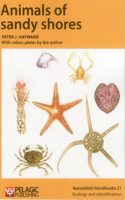 Animals of Sandy Shores