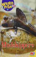 Mudskippers