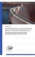 Caractérisation Et Durabilité Des Bétons À Hautes Performances: (Omn.Pres.Franc.)