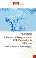 L'impact de l'oxydation du KPS (Kamoa Pyrite Siltstone)