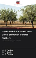 Remise en état d'un sol salin par la plantation d'arbres fruitiers