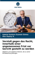 Verstoß gegen das Recht, innerhalb einer angemessenen Frist vor Gericht gestellt zu werden