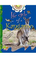 Life Cycle of a Kangaroo: Key stage 1: (Circle of Life)