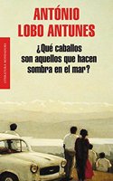 Qué caballos son aquellos que hacen sombra en el mar? / What horses are those that make shadow on the sea?