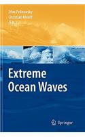 Extreme Ocean Waves