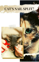 Cat's Nail Split? (Maybe While You Were TrimmІng?) Here's What TО Do