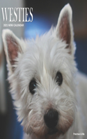 Westie