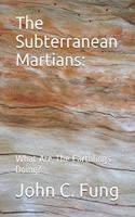 Subterranean Martians: : What Are The Earthlings Doing?