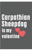 Carpathian Sheepdog is my valentine: For Carpathian Sheepdog Fans