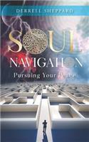 Soul Navigation