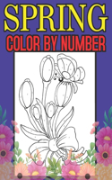 Spring Color By Number: A Spring Color By Number Coloring Book with Spring Scenes, Butterflies, Flowers, Nature, Color By Number Coloring Books)