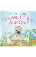 Whose Chick Are You? Board Book