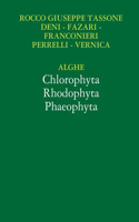 Alghe