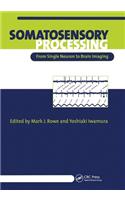 Somatosensory Processing